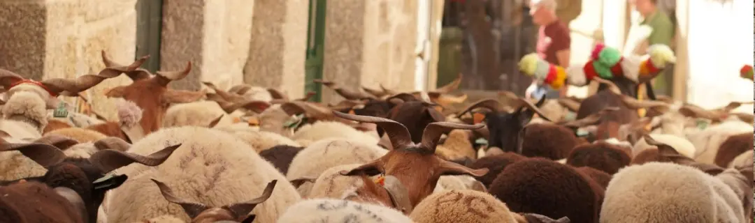 Slide do carrossel - f078712a-c675-4b0d-9198-90af71e22fe0