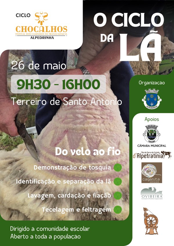 O Ciclo da Lã